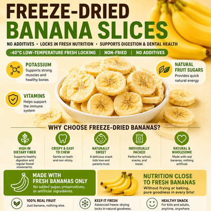 Freeze-Dried Premium Banana Slice - Healthy Snacks